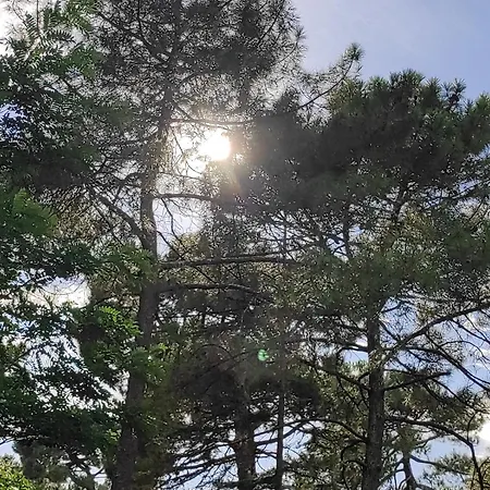 Et Les Abatilles 아파트 *