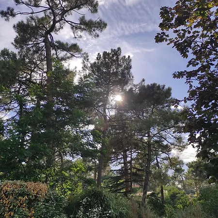 Et Les Abatilles شقة آركاشو