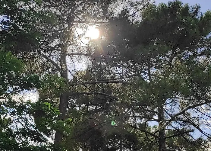 Et Les Abatilles Apartment *