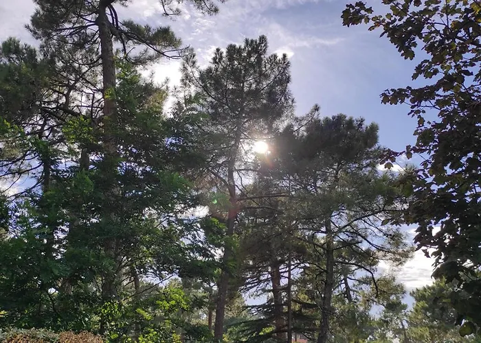 Et Les Abatilles Apartment Arcachon